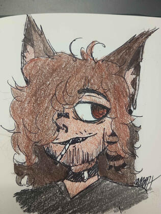 by moth